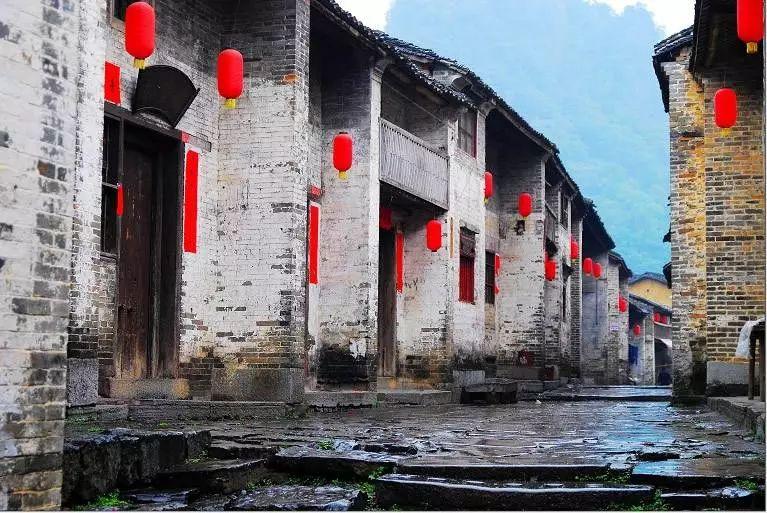 寻找沙漠珍宝